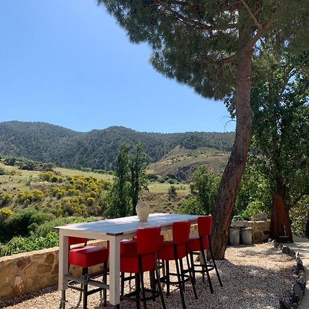 El Bufon De La Corte Carratraca Exteriör bild