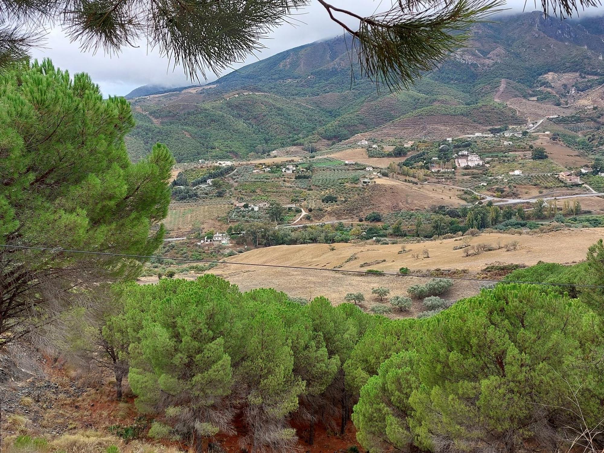 El Bufon De La Corte Carratraca Exteriör bild