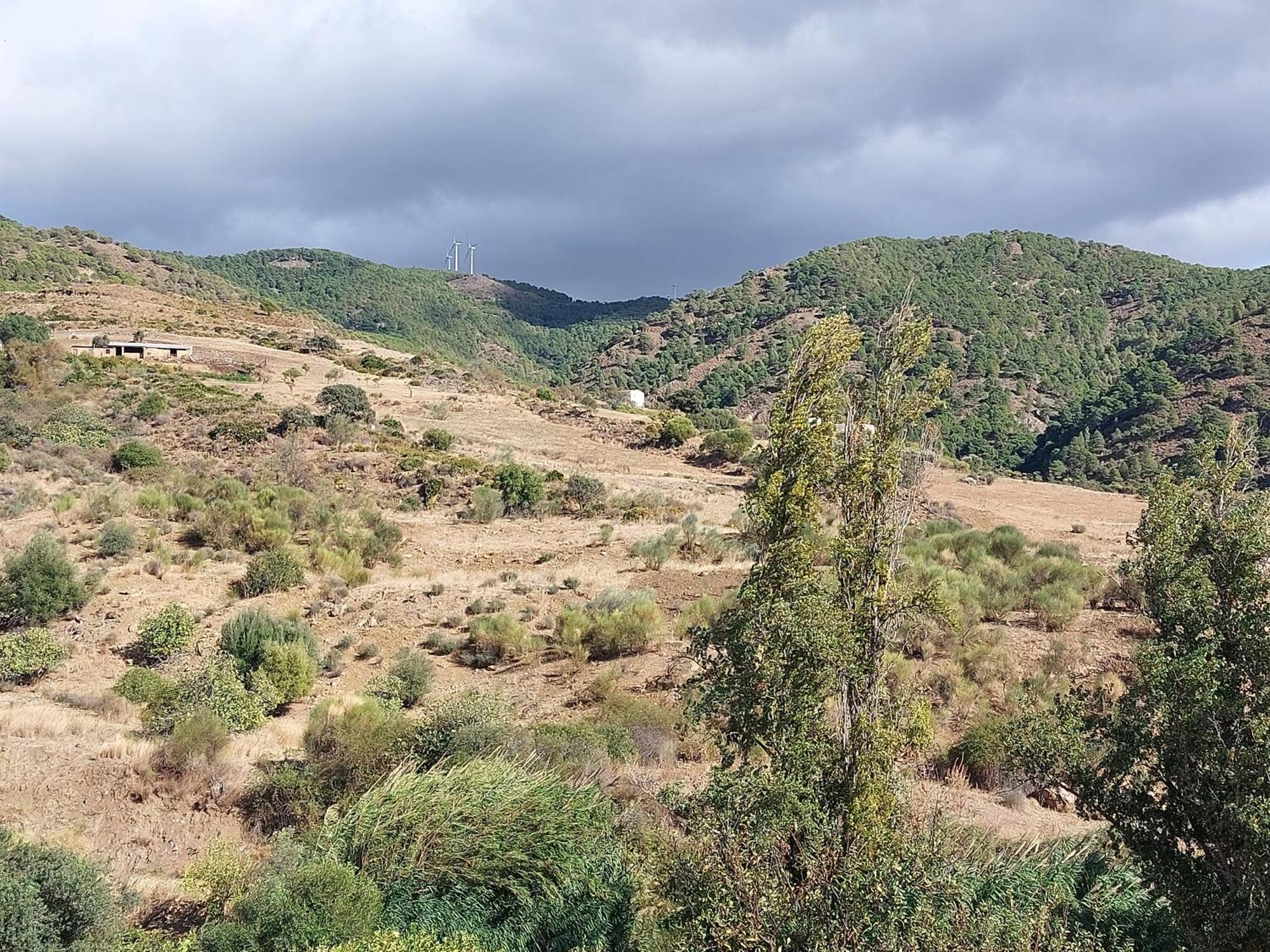 El Bufon De La Corte Carratraca Exteriör bild