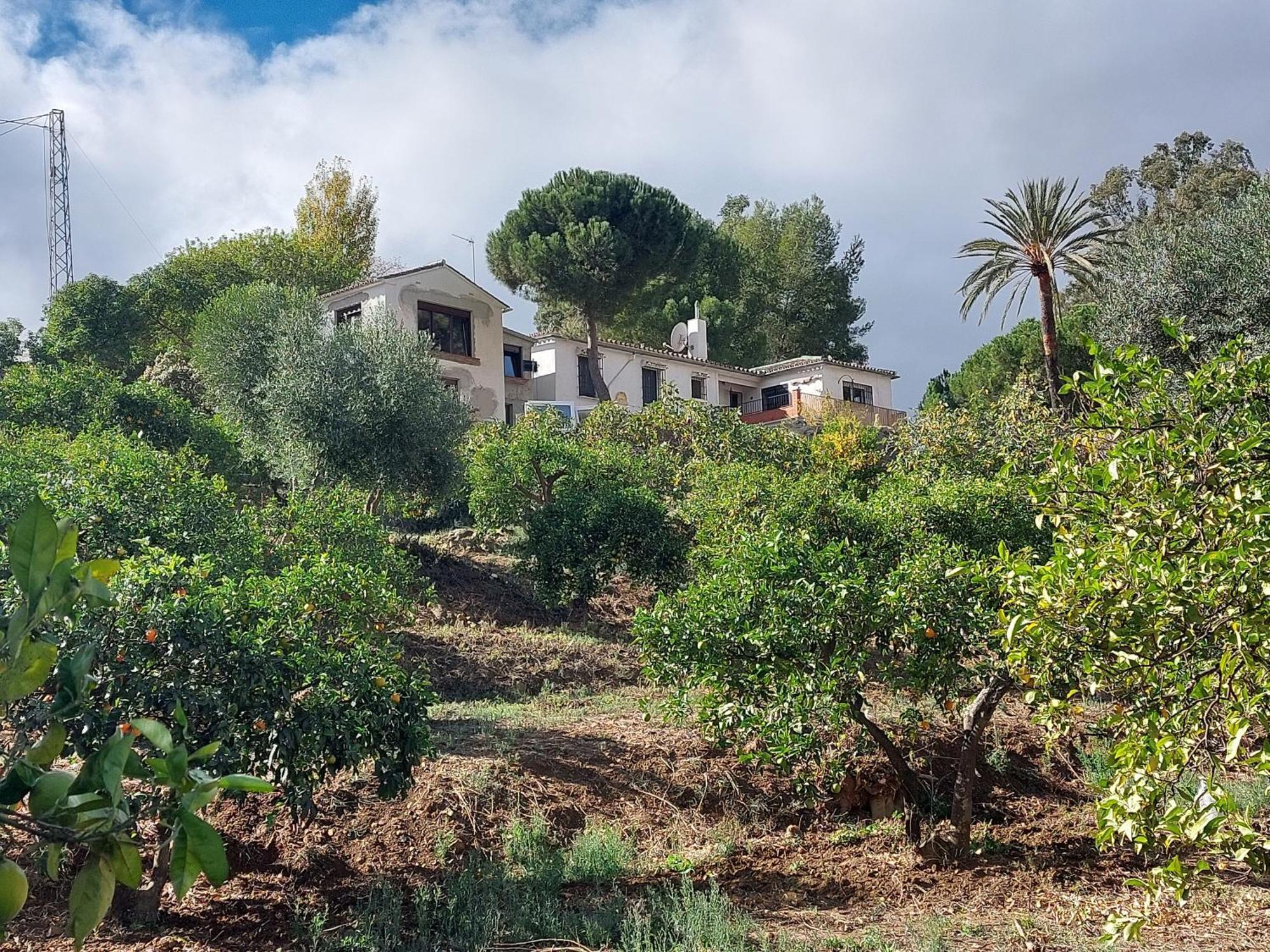 El Bufon De La Corte Carratraca Exteriör bild